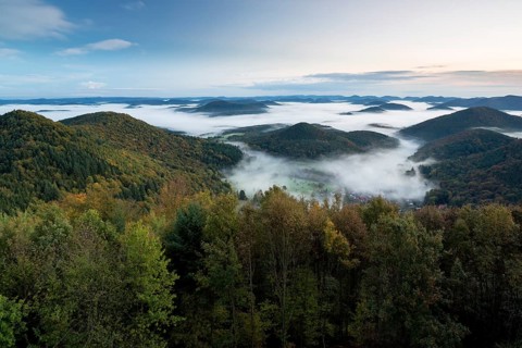 View of the Palatinate Forest from Wegelnburg Castle