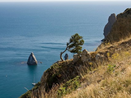 Coast