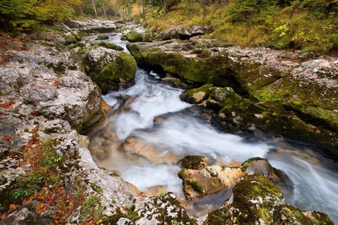Mountain stream Mostnica in autumn