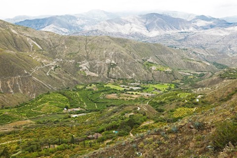 Agricultural landscape in the Chota Valley