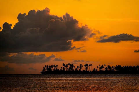 Sunset and an island with palm trees