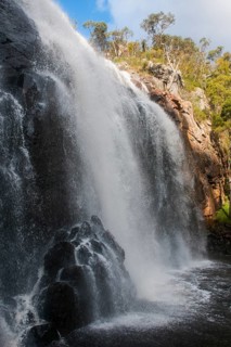 McKenzie Falls