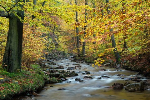 Ilse stream