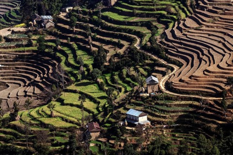 Terrace cultivation