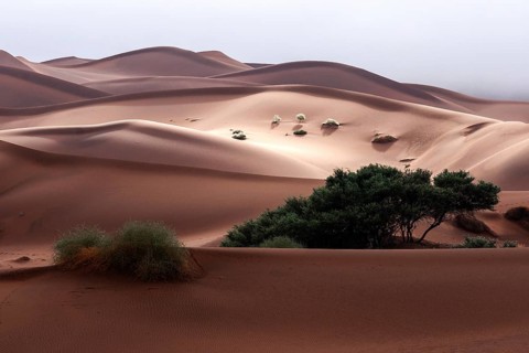 Sand dunes