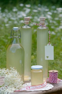 Bottles with elderflower syrup