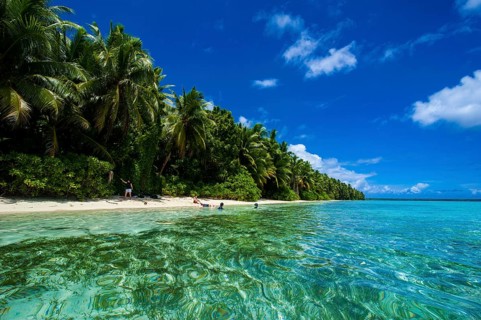 White sand beach and turquoise water in the Ant Atoll