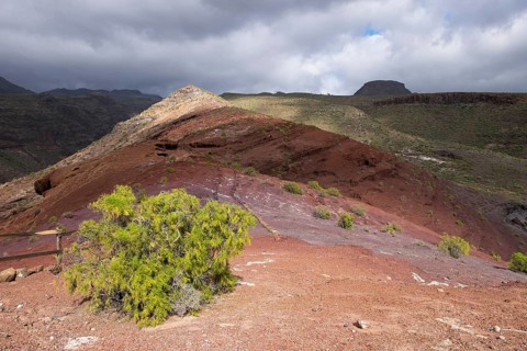Sendero Quise