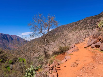 Dirt path in the Ourika Valley
