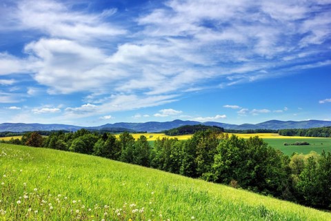 Rychlebske mountains