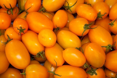 Tomatoes (Solanum lycopersicum)