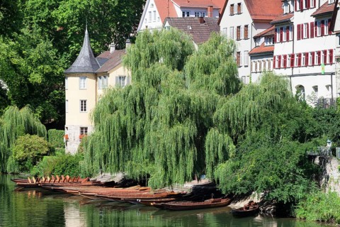 Holderlin Tower and punts on the Neckar river