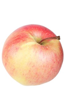 Apple variety Pinova