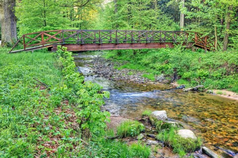 Bridge