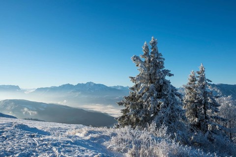 Wintry view from the Gaisberg of the Salzach Valley and the Hohen Goll