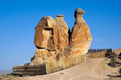 The 'Camel' rock formation in Devrent Valley