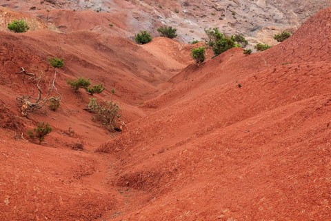 Red soil