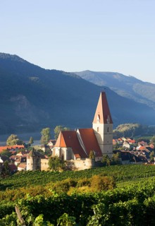 Vineyards and a fortified church on the Danube