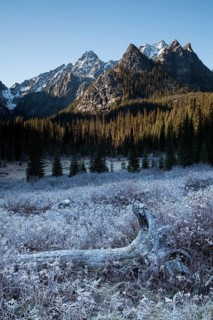Hoar frost on the Stuart Lake Trail in The Enchantments