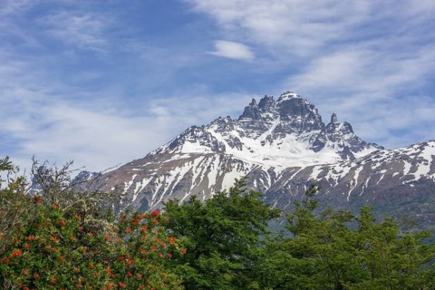 Cerro Castillo mountain range and Chilean fire bush