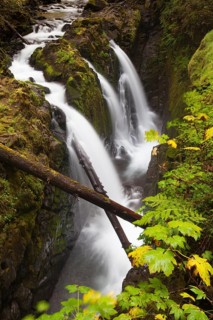 Sol Duc Falls in the Sol Duc River Valley