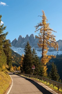 Mountain road