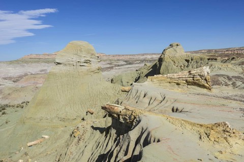 Petrified forest Bosque Petrificado National Monument