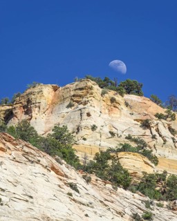 Moon rising at Checkerboard Mesa