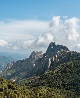 Rocky mountain peaks surrounded by pine forests