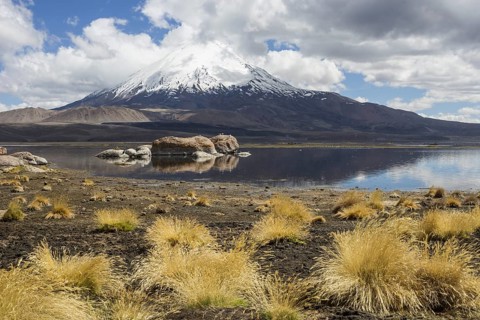 Lake Chungara and the Parinacota volcano