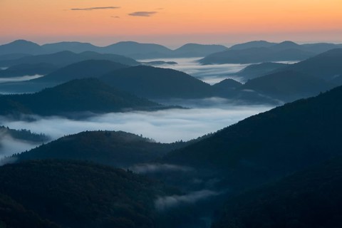 Palatinate Forest