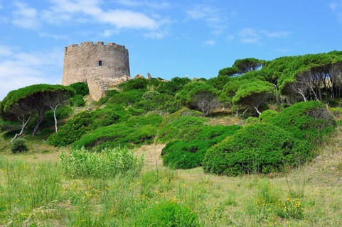 The watchtower Torre Spagnola
