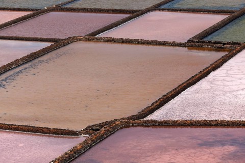 Sea salt production