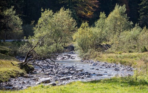 Mountain stream