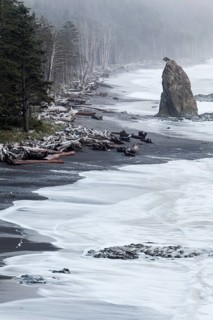 Rialto Beach in Olympic National Park
