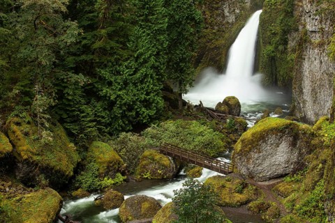 Wahclella Falls in the Columbia River Gorge