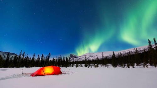 Northern Lights (Aurora borealis) above a red illuminated tent in winter