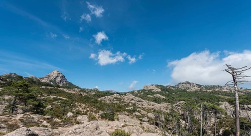 Mountain landscape