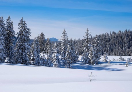 Winklmoosalm alp