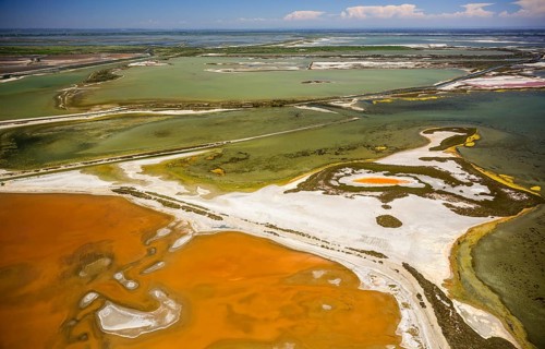 Salt patterns on the surface of the salines of Le Grau-du-Roi
