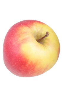 Apple variety Belgica