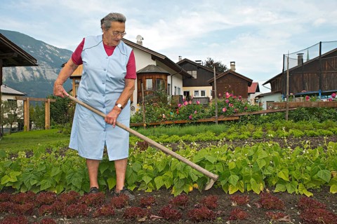 Farmer working on the farm