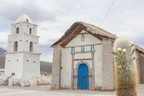 Church and a flowering Cardon cactus (Echinopsis atacamensis)