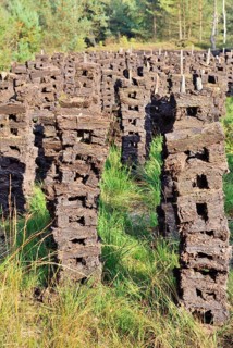 Stacks of peat sods left or drying in the traditional manner