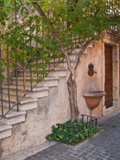 Staircase with a vine