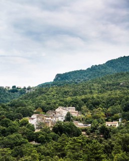 Small mountain village in the forest