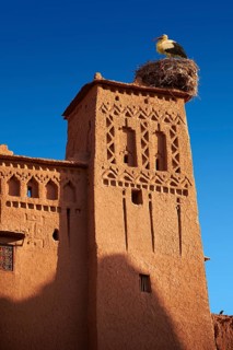 Stork's nest on the mud buildings of the fortified Berber Ksar of Ait Benhaddou