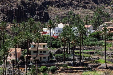Palm trees and houses of El Guro