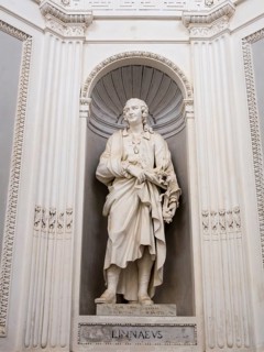 Statue of Linnaeus at Villa Giulia