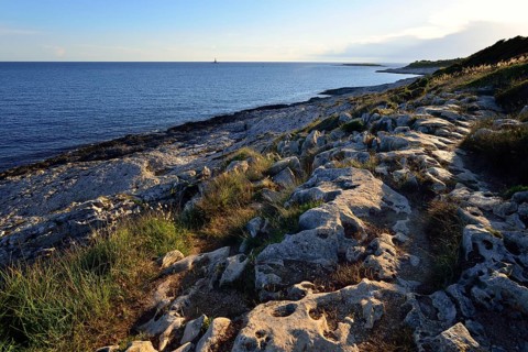 Coast in the evening light